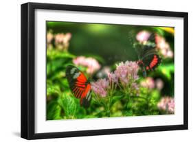 Butterfly 11-Robert Goldwitz-Framed Photographic Print