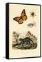 Butterfly, 1833-39-null-Framed Stretched Canvas