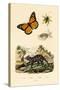 Butterfly, 1833-39-null-Stretched Canvas