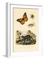 Butterfly, 1833-39-null-Framed Giclee Print