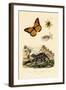 Butterfly, 1833-39-null-Framed Giclee Print