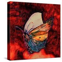 Butterfly, 2021, (digital)-Scott J. Davis-Stretched Canvas