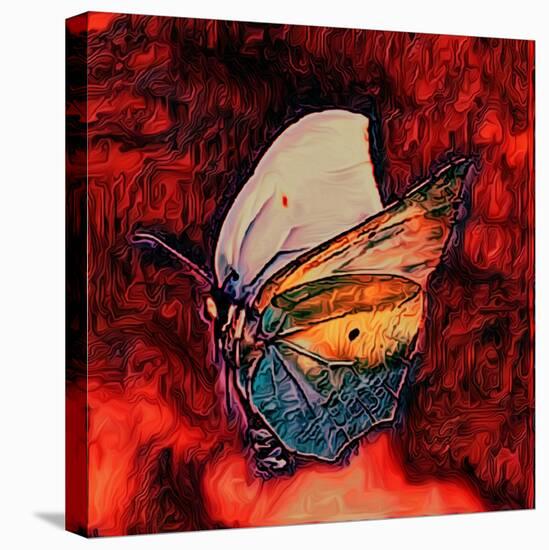 Butterfly, 2021, (digital)-Scott J. Davis-Stretched Canvas