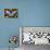 Butterfly 20-Robert Goldwitz-Photographic Print displayed on a wall