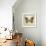 Butterfly 6-Amy Melious-Framed Art Print displayed on a wall