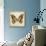 Butterfly 6-Amy Melious-Art Print displayed on a wall