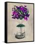 Butterfly Airship 2 Purple and Green-Fab Funky-Framed Stretched Canvas