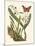 Butterfly and Botanical IV-Mark Catesby-Mounted Art Print