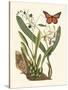 Butterfly and Botanical IV-Mark Catesby-Stretched Canvas