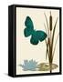 Butterfly and Cat Tails-Karen Williams-Framed Stretched Canvas