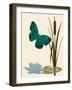 Butterfly and Cat Tails-Karen Williams-Framed Giclee Print