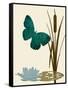 Butterfly and Cat Tails-Karen Williams-Framed Stretched Canvas