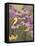 Butterfly and Finch Amongst Flowers-William Vanderdasson-Framed Stretched Canvas