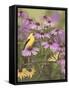 Butterfly and Finch Amongst Flowers-William Vanderdasson-Framed Stretched Canvas