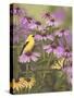 Butterfly and Finch Amongst Flowers-William Vanderdasson-Stretched Canvas
