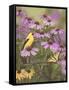 Butterfly and Finch Amongst Flowers-William Vanderdasson-Framed Stretched Canvas