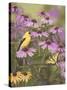 Butterfly and Finch Amongst Flowers-William Vanderdasson-Stretched Canvas