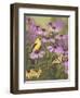 Butterfly and Finch Amongst Flowers-William Vanderdasson-Framed Giclee Print