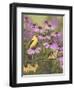 Butterfly and Finch Amongst Flowers-William Vanderdasson-Framed Giclee Print