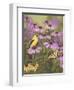 Butterfly and Finch Amongst Flowers-William Vanderdasson-Framed Giclee Print