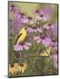 Butterfly and Finch Amongst Flowers-William Vanderdasson-Mounted Giclee Print