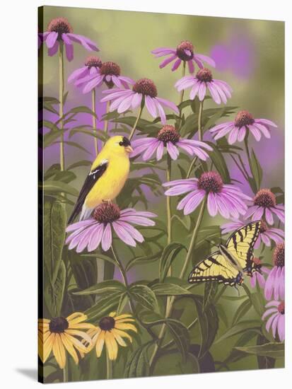 Butterfly and Finch Amongst Flowers-William Vanderdasson-Stretched Canvas
