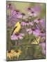 Butterfly and Finch Amongst Flowers-William Vanderdasson-Mounted Giclee Print