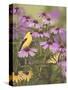 Butterfly and Finch Amongst Flowers-William Vanderdasson-Stretched Canvas