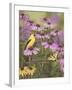 Butterfly and Finch Amongst Flowers-William Vanderdasson-Framed Giclee Print