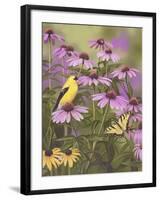 Butterfly and Finch Amongst Flowers-William Vanderdasson-Framed Giclee Print