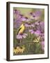 Butterfly and Finch Amongst Flowers-William Vanderdasson-Framed Giclee Print