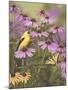 Butterfly and Finch Amongst Flowers-William Vanderdasson-Mounted Giclee Print