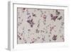 Butterfly and Floral Repeat Pattern on White Background-null-Framed Giclee Print