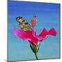 Butterfly And Flower 3X-Ata Alishahi-Mounted Giclee Print