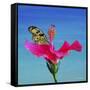 Butterfly And Flower 3X-Ata Alishahi-Framed Stretched Canvas
