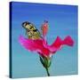 Butterfly And Flower 3X-Ata Alishahi-Stretched Canvas