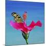 Butterfly And Flower 3X-Ata Alishahi-Mounted Giclee Print