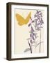 Butterfly and Flowers-Karen Williams-Framed Giclee Print