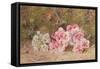 Butterfly and Flowers-John Kynnersley Kirby-Framed Stretched Canvas