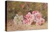 Butterfly and Flowers-John Kynnersley Kirby-Stretched Canvas