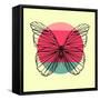 Butterfly and Sunset-Lisa Kroll-Framed Stretched Canvas