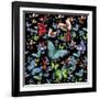 Butterfly Art A6-Ata Alishahi-Framed Giclee Print