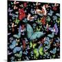 Butterfly Art A6-Ata Alishahi-Mounted Giclee Print