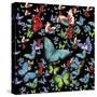 Butterfly Art A6-Ata Alishahi-Stretched Canvas