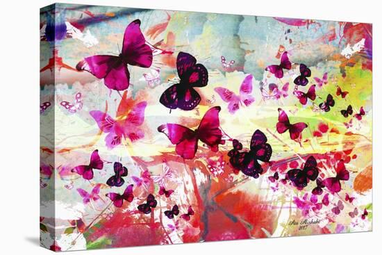 Butterfly Art A7-Ata Alishahi-Stretched Canvas