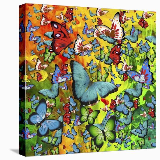 Butterfly Art A8-Ata Alishahi-Stretched Canvas