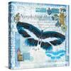 Butterfly Artifact Blue-Alan Hopfensperger-Stretched Canvas