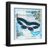 Butterfly Artifact Blue-Alan Hopfensperger-Framed Art Print