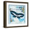 Butterfly Artifact Blue-Alan Hopfensperger-Framed Art Print