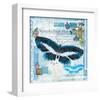 Butterfly Artifact Blue-Alan Hopfensperger-Framed Art Print